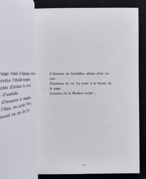 Catalepsie suivi de hiérophanie. . BULTEAU (Adeline). OPPENHEIM (Méret). BULTEAU (Michel). 