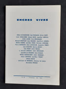 Encres vives : n°66, printemps été 1969.  par AYGUESPARSE (Albert). PUGNAUD (Paul). MARY (Olivier). GUILLAUME (LOUIS). BAYO (GÉRARD). MESTAS (Jean-Paul). LAUDE (André). MALRIEU (Jean). COSEM (Maxime). DA SILVA (Christian). 