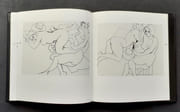 Hilaire. Dessins.  par HILAIRE (Camille). LARROCHE (Caroline).  - Image 1