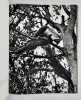 Paradis terrestre - . COLETTE - IZIS BIDERMANAS - 
