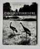 Paradis terrestre - . COLETTE - IZIS BIDERMANAS - 