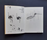 L'oiseau Nyiro.  par BAILLY (Jean-Christophe).  - Image 2