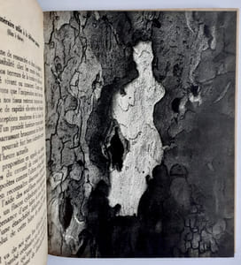La poésie naturelle. Documents réunis par Camille Bryen et Alain Gheerbrant.