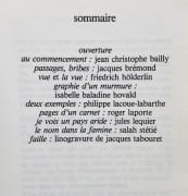 Anima n°1, janvier 1980. par BAILLY (Jean-Christophe). BREMOND (Jacques). HOLDERLIN (Friedrich). BALADINE (Isabelle). LAPORTE (Roger). LEQUIER (Jules). STETIE (Salah). TABOURET (Jacques).  - Image 2