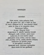 Anima n°3, novembre 1980. par BECK (Anne-Catherine). CHENE (Jean-Damien). DELFIEU (Dominique). FERLET (Françoise). JOYCE (James). RABATE (Jean-Michel). NANCY (Jean-Luc). SANCHEZ ROBAYNA (Andrès).VESCHAMBRE (Christiane). GUILBAUD (Luce).  - Image 1