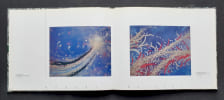 Robert Malaval. Paillettes et pastels 1973-1980. . MALAVAL (Robert). BRAUDAU (Michel). LASCAULT (Gilbert).