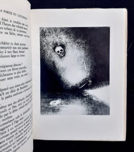 La poésie du cauchemar -