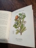 Atlas de poche des plantes utiles des pays chauds. P. De Janville