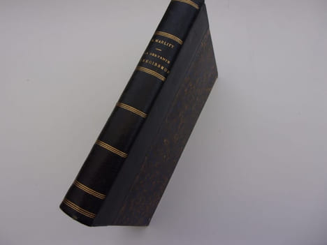 LA SERVANTE DU REGISSEUR. MARLITT E.