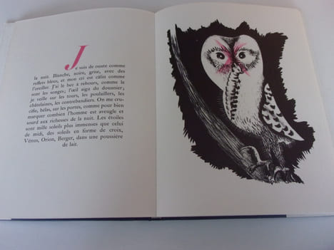 GEOGRAPHIE ANIMALE. LURCAT Jean
