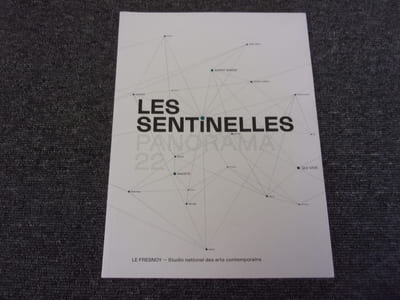 LES SENTINELLES . Panorama 22