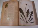 L'HERBIER OUBLIE  Secrets de plantes retrouv&eacute;s. BERTRAND Bernard