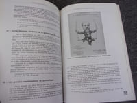 L'ECHAPPEE SPORTIVE. Sport gymnastique et éducation physique dans le Nord du moyen age à 1945