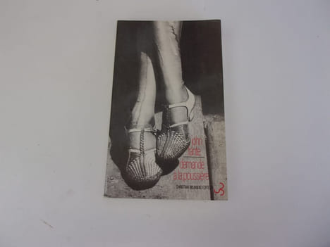 DEMANDE A LA POUSSIERE. FANTE John