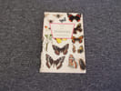 LES INSECTES. LANDIN B O