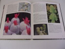 LES PLANTES GRASSES. PIZZETTI Mariella