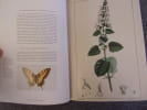 LES VERTUS DES PLANTES VERTES. PELT Jean Marie