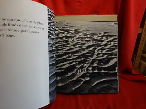 Eau, sable, bois. . [PHOTOGRAPHIE] - DE STAEL (Anne), PINSARD (Laurent)