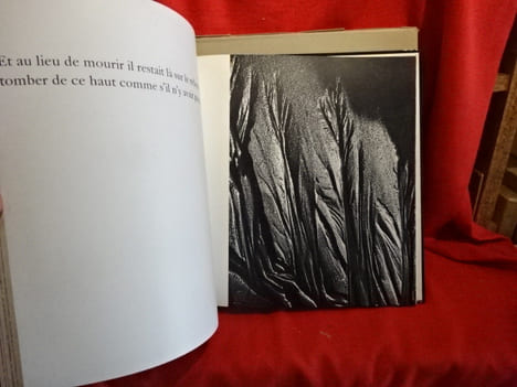 Eau, sable, bois. . [PHOTOGRAPHIE] - DE STAEL (Anne), PINSARD (Laurent)