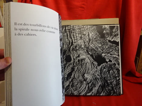 Eau, sable, bois. . [PHOTOGRAPHIE] - DE STAEL (Anne), PINSARD (Laurent)