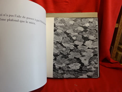 Eau, sable, bois. . [PHOTOGRAPHIE] - DE STAEL (Anne), PINSARD (Laurent)
