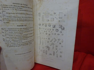 Traité de chimie anatomique et physiologique normale ou pathologique ou des principes immédiats normaux et morbides qui constituent le corps de l'homme et des mammifères. Atlas de 45 planches dessinées d'après nature par Ch. Robin et P. Lackerbauer. 