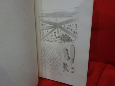 Traité de chimie anatomique et physiologique normale ou pathologique ou des principes immédiats normaux et morbides qui constituent le corps de l'homme et des mammifères. Atlas de 45 planches dessinées d'après nature par Ch. Robin et P. Lackerbauer. 