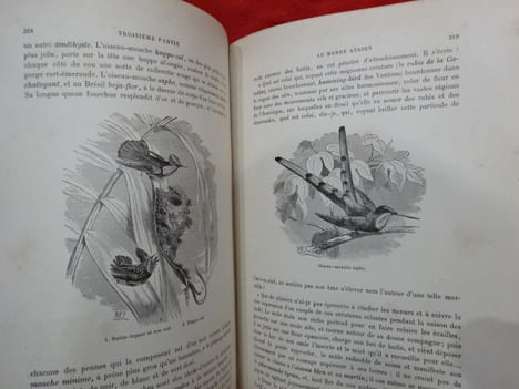 Les artères du globe. L'air et le monde aérien. . [SCIENCE] - BORY - MANGIN (Paul - Arthur )