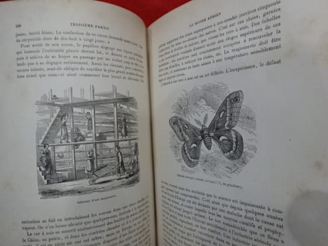 Les artères du globe. L'air et le monde aérien. . [SCIENCE] - BORY - MANGIN (Paul - Arthur )