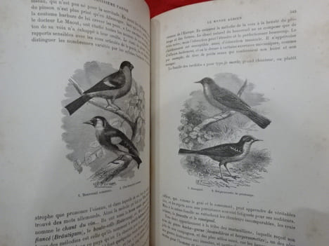Les artères du globe. L'air et le monde aérien. . [SCIENCE] - BORY - MANGIN (Paul - Arthur )