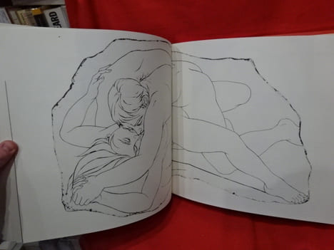 Le Livre d'Eros. . [LITTERATURE] - COLLECTIF, TREMOIS