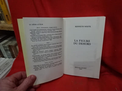 La figure du dehors. Essai.