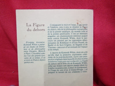 La figure du dehors. Essai.