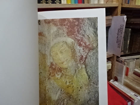 Ceylan peintures de sanctuaires. . [ART] - PARANAVITANA (S.)
