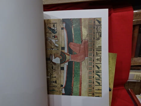 Egypte peintures des tombeaux et des temples. . [ART] - VANDIER (Jacques)