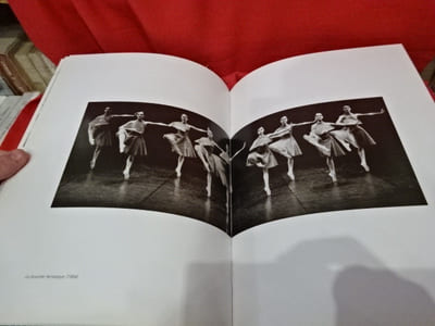 Florilège du ballet national de Nancy et de Lorraine.