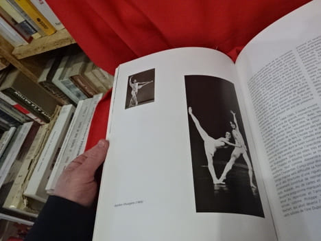 Florilège du ballet national de Nancy et de Lorraine. . [LORRAIN] - MANNONI (Gérard)