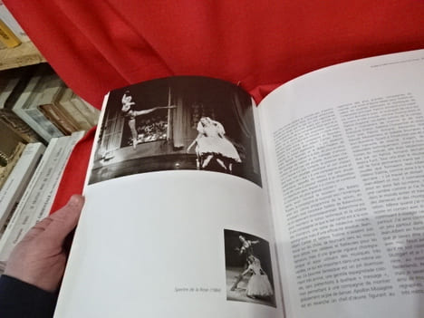 Florilège du ballet national de Nancy et de Lorraine. . [LORRAIN] - MANNONI (Gérard)
