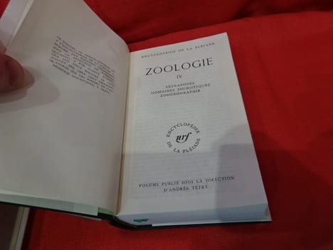 Zoologie-Tomes I, II, III et IV. . [SCIENCE] - SOUS LA DIRECTION DE PIERRE-PAUL GRASSÉ, DE L'INSTITUT, ET D'ANDRÉE TÉTRY