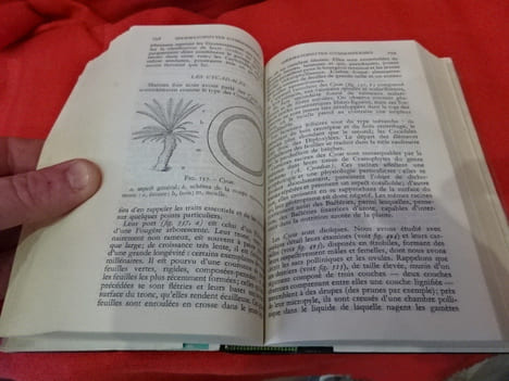 Botanique. . [SCIENCE] - SOUS LA DIRECTION DE FERNAND MOREAU
