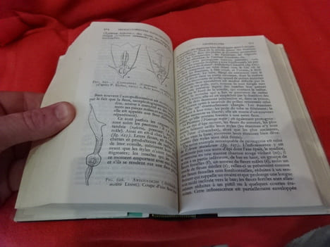 Botanique. . [SCIENCE] - SOUS LA DIRECTION DE FERNAND MOREAU