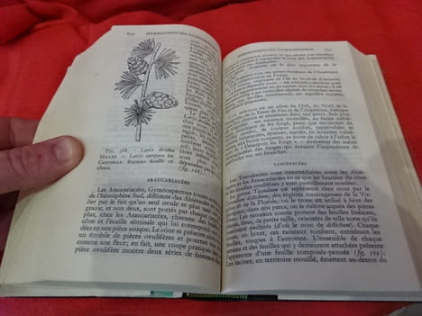 Botanique. . [SCIENCE] - SOUS LA DIRECTION DE FERNAND MOREAU