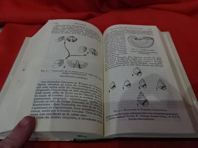 Biologie. 