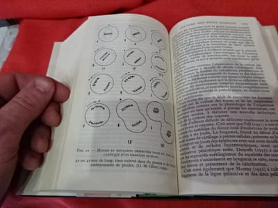 Biologie. 