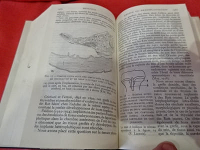 Biologie. 