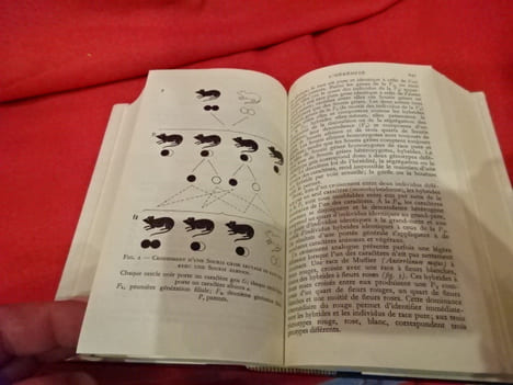 Biologie. . [SCIENCE] - SOUS LA DIRECTION DE JEAN ROSTAND ET D'ANDRÉE TETRY