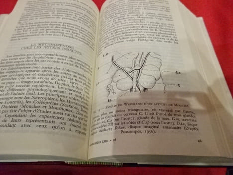 Biologie. . [SCIENCE] - SOUS LA DIRECTION DE JEAN ROSTAND ET D'ANDRÉE TETRY