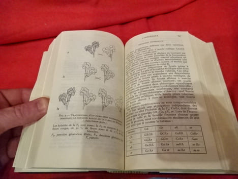Biologie. . [SCIENCE] - SOUS LA DIRECTION DE JEAN ROSTAND ET D'ANDRÉE TETRY