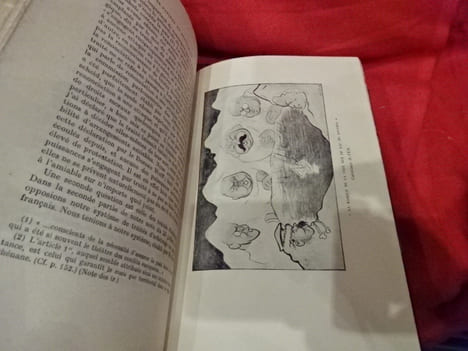 Six années de politique allemande. Les papiers de Stresemann. La bataille de la Rhur. La conférence de Londres. 1923-1924. Locarno et Genève. ...