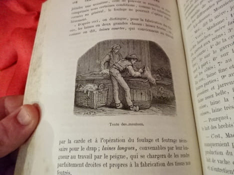 Serviteurs et commensaux de,l'homme. . [SCIENCE NATURELLE] - SAINT-GERMAIN LEDUC